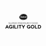 agility gold logo