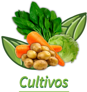 cultivos