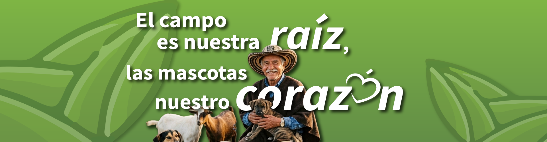 imagen de inicio pagina-2