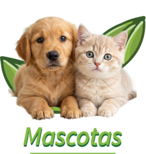 mascotas